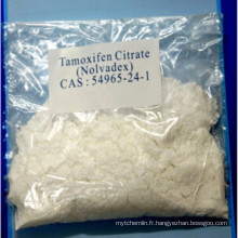 Anti-œstrogène Steroides Tamoxifène Citrate pour le traitement du cancer CAS 54965-24-1